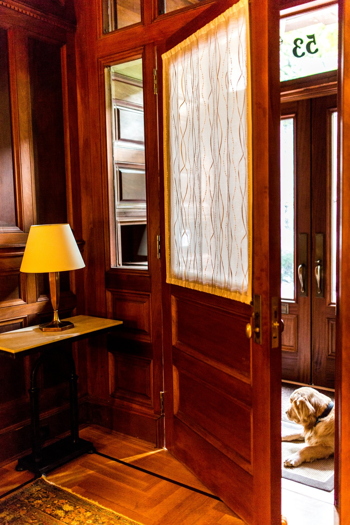 Vestibule door